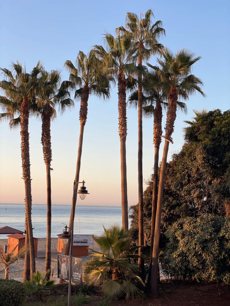 ac29ca81-746b-4004-8d94-2e9e357963d0