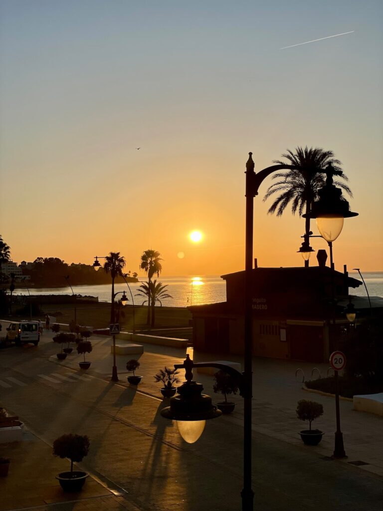 ca51c272-8317-4436-b50d-545414a40dc9